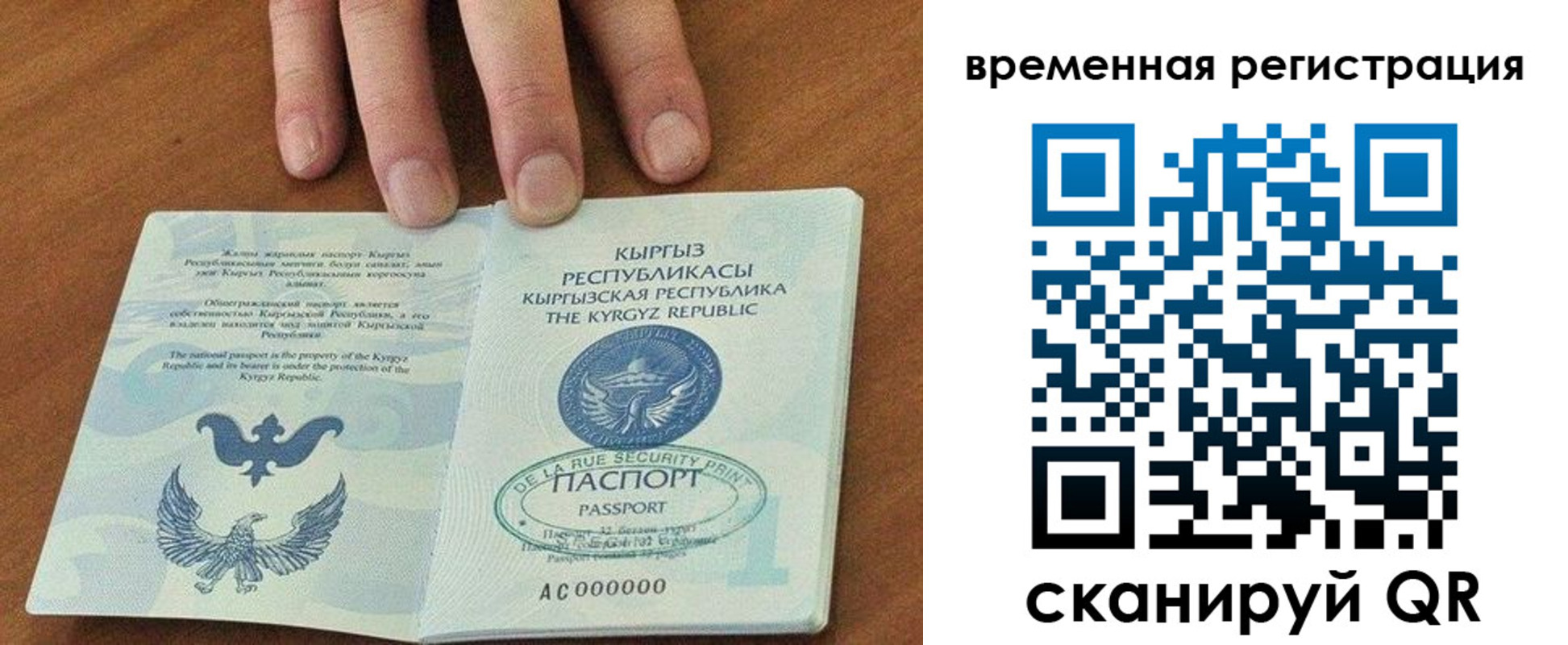 где прописаться в Ермолино